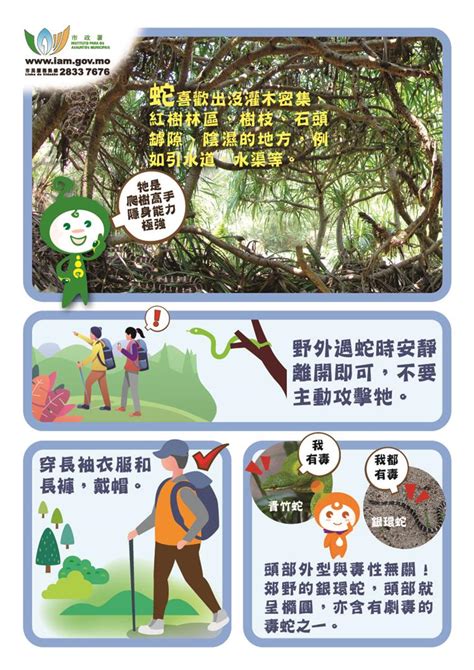 遇見蛇不要打|What To Do When You Encounter Snakes – UM E